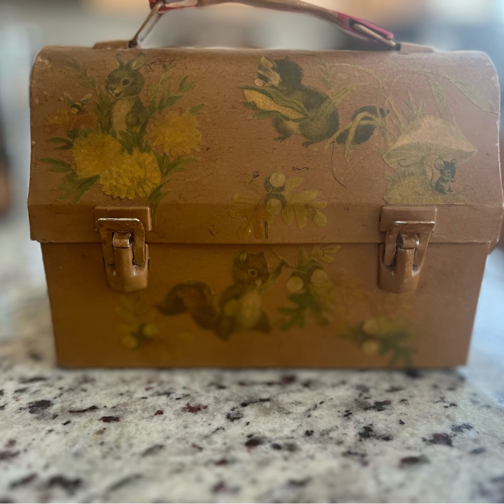 Vintage Hand Painted American Thermos Bottle Co. Lunchbox